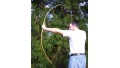Osage Long Bow (SOLD) 